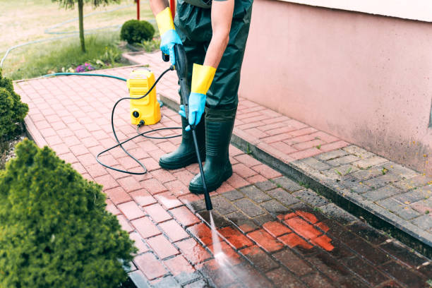 Best Warehouse Cleaning  in Coldspring, TX